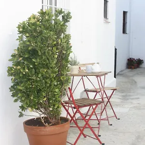 Apartamento La Casa Del Patio, Vejer de la Frontera